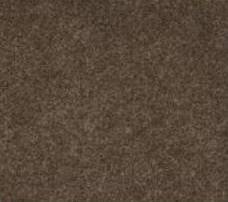 Ковровая Дорожка Gent Gent 300 V