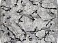 PALERMO F289 DARK GRAY Овал