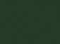 Ковровая Дорожка COLIZEY P000 GREEN