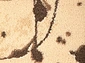  ALABASTER Kianta W linen