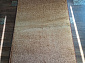 RIVIERA v632 BEIGE