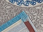 ALFANI 0T209RG BLUE / BLUE