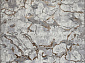 PALERMO F289 GRAY-GREEN