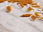 TRUVA 08330C ORANGE / ORANGE