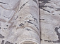 Ковровая Дорожка ARMINA 03819A GREY / BROWN