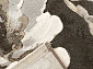 с цветами ARGENTUM 63421 3243