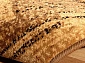 STANDARD OLSZA beige