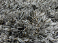 RHAPSODY 25-01 905 Круг V