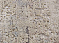 EMPEROS OLIMPOS Y5307R L.BEIGE / EARTH