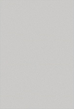 MONBLAN D950 GRAY-CREAM