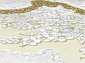 BAROQUE 18639 010
