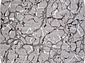 SILVER-A F389 GRAY Овал