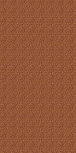 LAGUNA CS03 BROWN