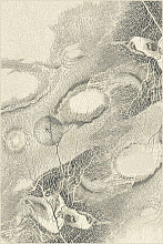 ISFAHAN BELLONA pearl