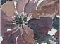 с цветами ARGENTUM R 63834 6626