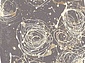 ALABASTER Kianta graphite ОВАЛ