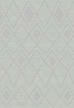 SKAT F647 GRAY