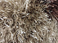 COSMIC SHAGGY 6705 80