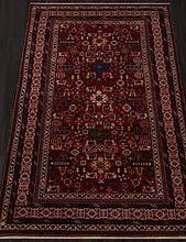 Azerkhalcha QUBA 560