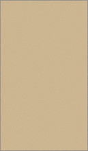 MIDI T600 BEIGE