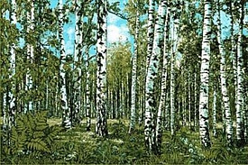 Родные просторы 0009 03