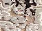 YUTA 0T338RG VIZON / VIZON