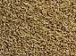 Грязезащитный коврик Bologna 61 0.5x0.8 beige