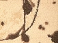  ALABASTER Kianta W linen