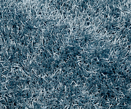 SPAGHETTI Blue 