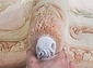90 LINE WOOLEN HANDK-KNOTTED A-112 BEIGE Овал