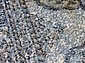 SHAHREZA D471 CREAM-BLUE