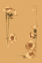 Ковер OPAL  PENELOPA sahara