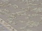 BRILLIANT US003B TAUPE V