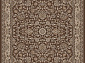 DOLCE D203 BROWN