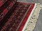 BELUCHI 961555 1616 V