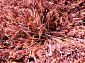 RHAPSODY 25-01 308 Круг V