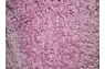 шегги Rainbow Shaggy PC00 rose