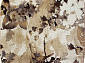 SUNRISE 2 D440 GRAY-BEIGE Овал