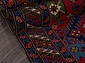 Azerkhalcha SHIRVAN 844