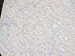 LIMAN F164 CREAM-BLUE Овал