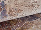 RIM 05708K BROWN / BROWN Овал