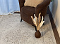 CELESTE VE004A CREAM / CREAM