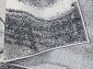 фризе BEENOM 1015-155