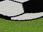CRYSTAL C020 GREEN