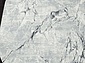 NENSI GL071G GREY / GREY Овал