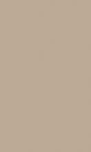 Ковер-циновка KAIR P000 BEIGE