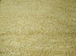 KEOPS SHAGGY B1006A YELLOW / YELLOW Овал