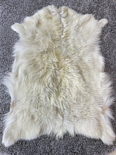 Козья K016 000