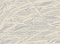 SKAT F645 GRAY-CREAM