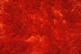 CHAMELEON orange